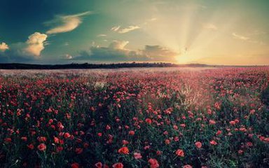 從哪些方面考慮選擇管鏈輸送機(jī)