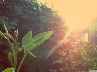 淺談管鏈輸送機(jī)的保養(yǎng)